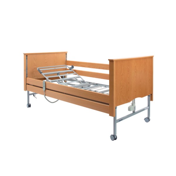 Bradshaw Nursing Care Bed