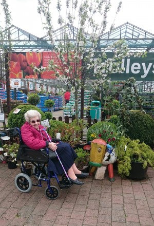 Novice wheelchair user