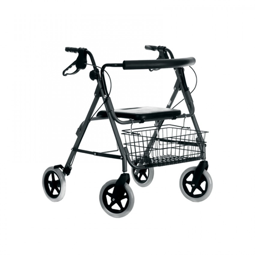 Sunrise Coopers Heavy Duty Walker